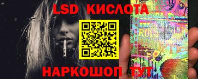 трава Гатчина
