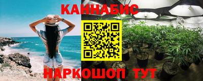 трава Гатчина