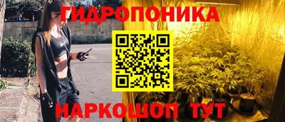 трава Гатчина