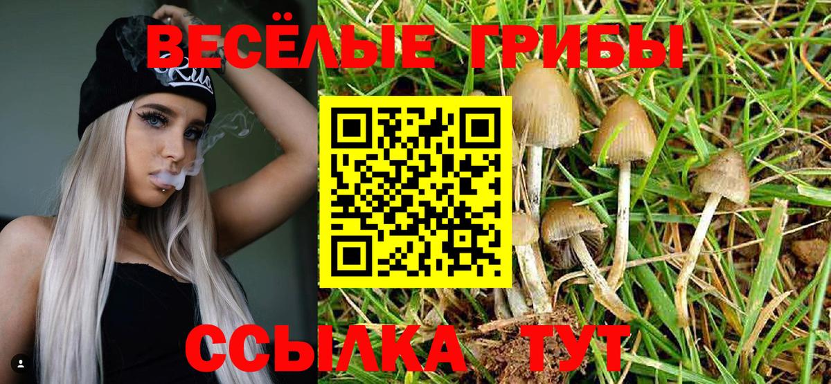 Галлюциногенные грибы Magic Shrooms Полевской